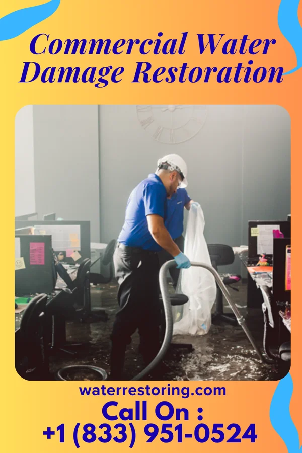 Commercial Water Damage Restoration in Maalaea, HI