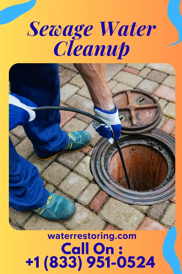 Sewage Water Cleanup in Maalaea, HI