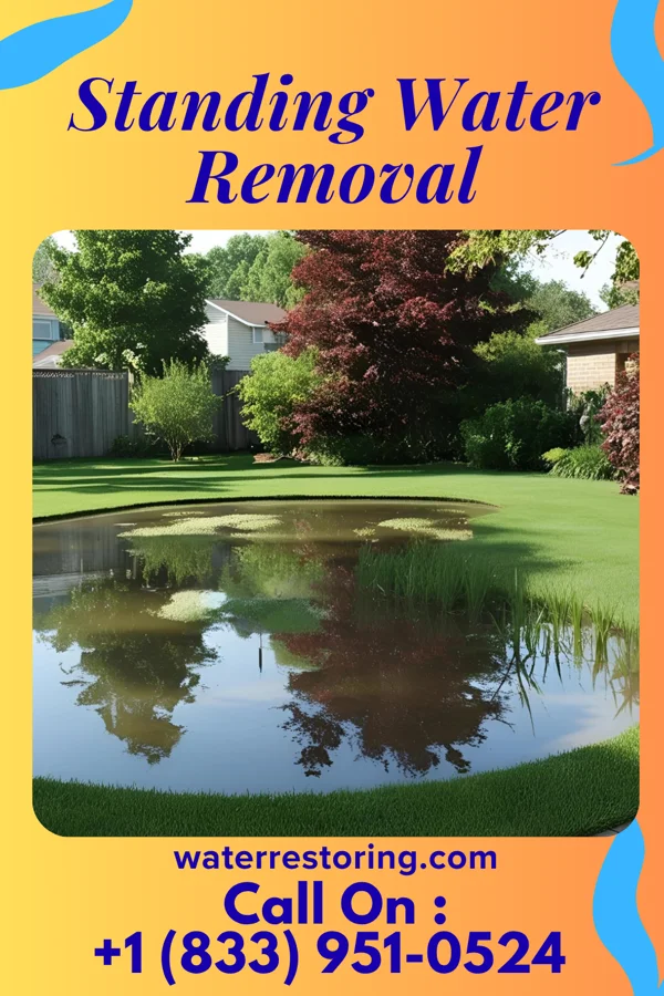 Standing Water Removal in Maalaea, HI